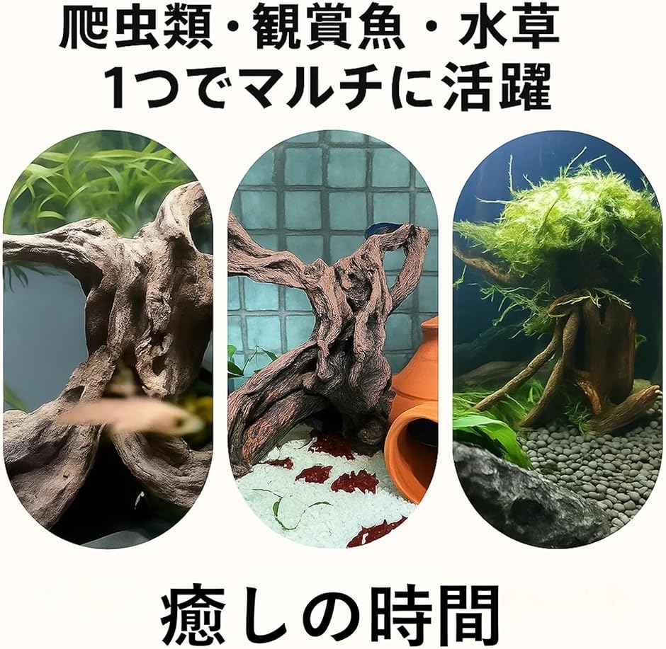 爬虫類用 流木 登り木 テラリウム用 装飾品 アクアリウム アクア