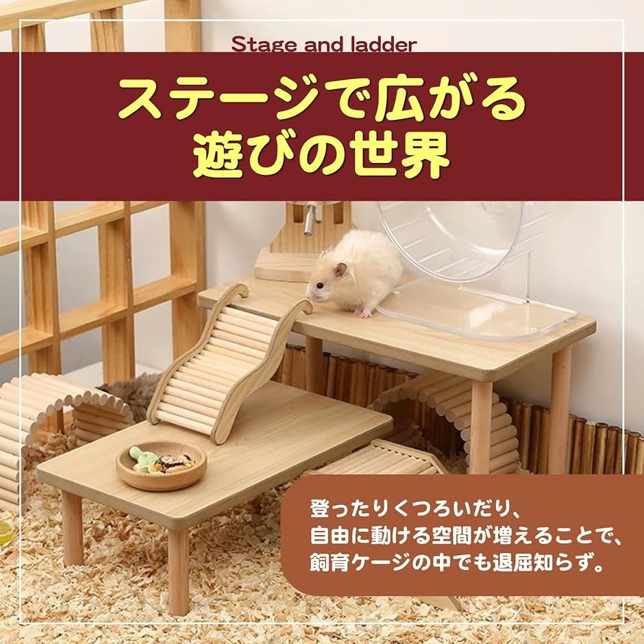 デグー用飼育セット　飼育ケージ Amazon | □デグー飼育フルセット 白ケージver． 沖縄別途送料