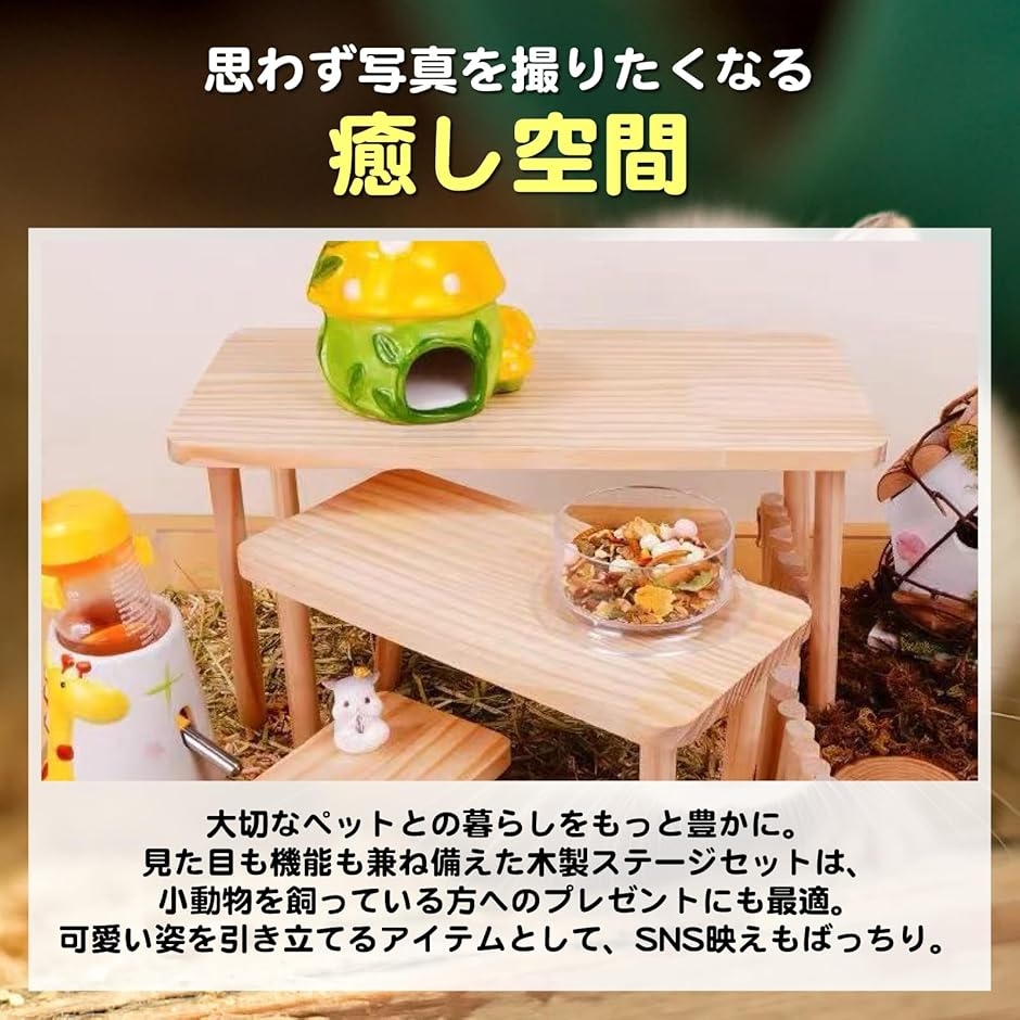 ステージとはしごセット 小動物 ハムスター チンチラ デグー ケージ