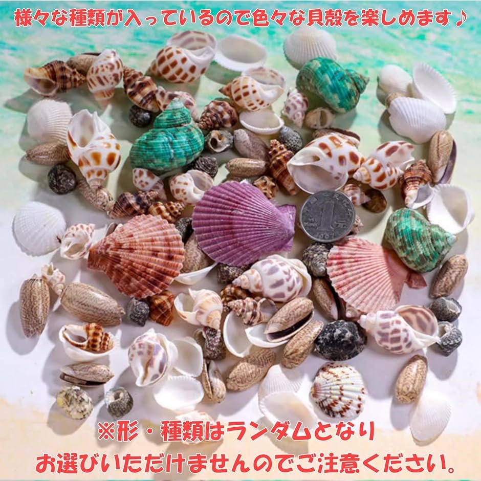 貝殻 インテリア 瓶の商品一覧 通販 - Yahoo!ショッピング