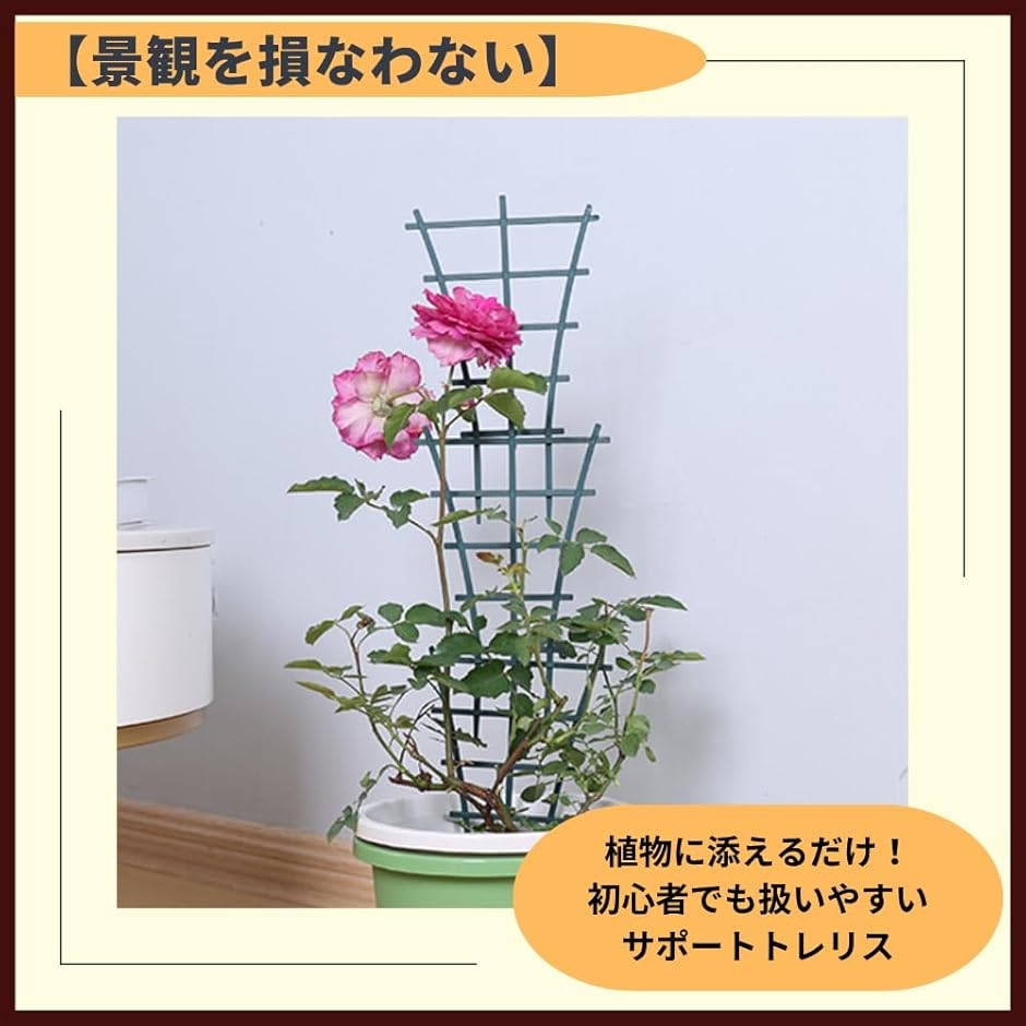 園芸 植物支柱 朝顔 ガーデニング プランター支柱 4個セット (グリーン