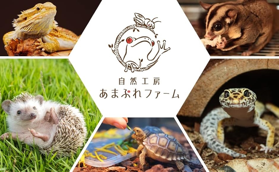 プレミアムマルベリー ビタミンD3を追加配合し...の詳細画像5