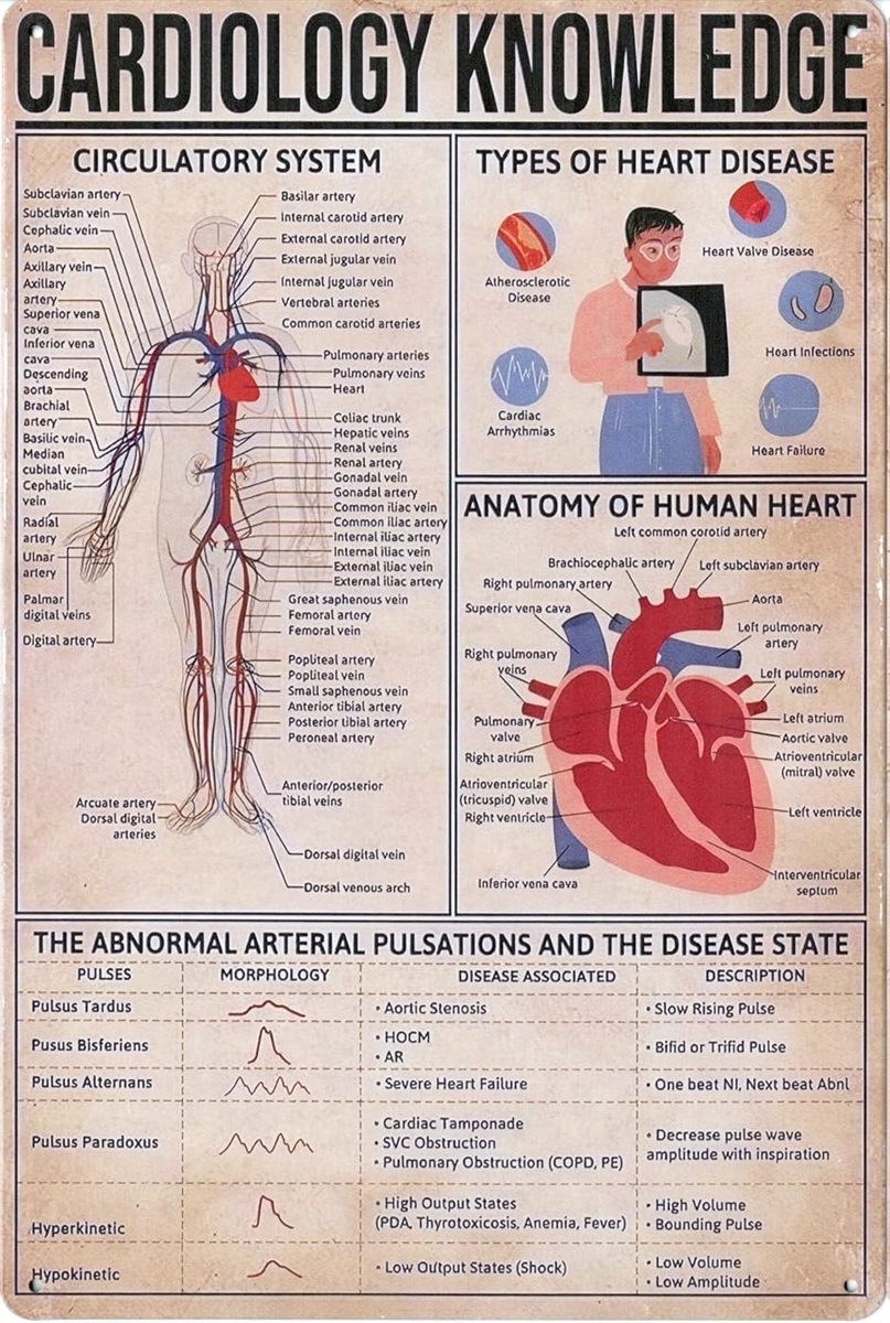 ブリキ看板 レトロサイン (076-CARDIOLOGY/カーディオロジー 心臓病学の知識, 長さ30 cm x 幅20 cm)