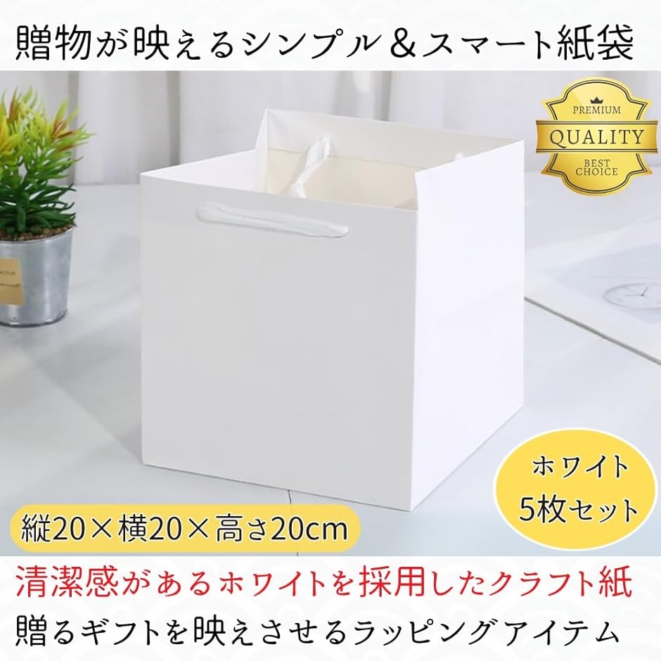 ギフト紙袋 正方形 厚手 マチ付き 大容量 ホワイト 5枚セット