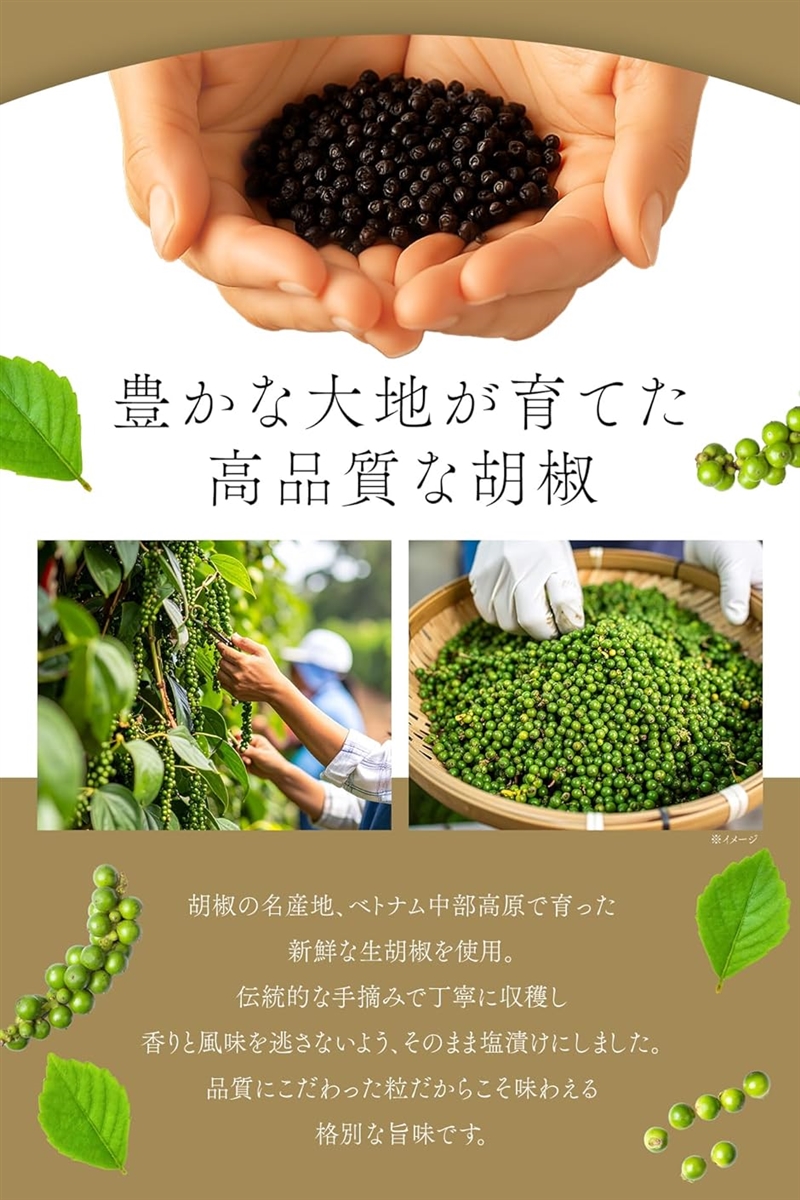 三ツ和総本店 生胡椒の塩漬け 25g 黒胡椒 黒コショウ 黒こしょう 粒