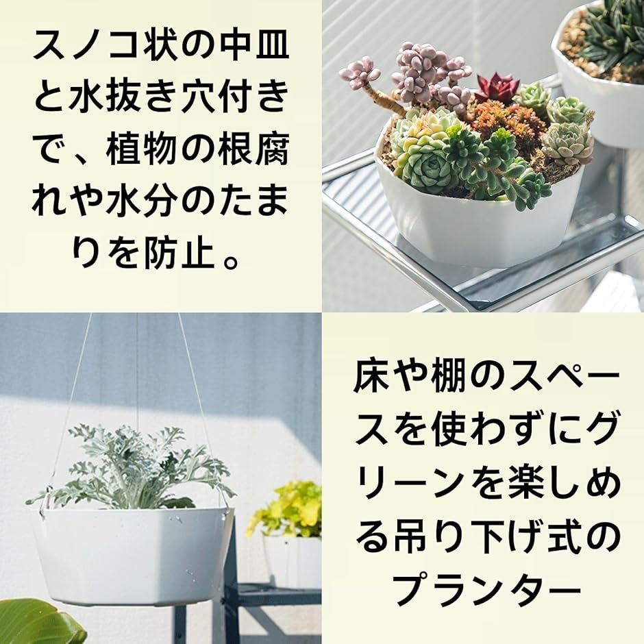 HOTQ ハンギングプランター 室内 吊り下げ 壁掛け 植木鉢 観葉植物(白