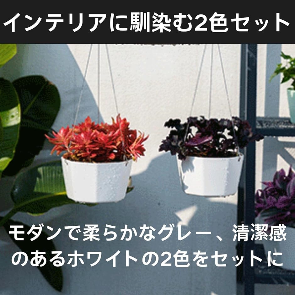 HOTQ ハンギングプランター 室内 吊り下げ 壁掛け 植木鉢 観葉植物(白