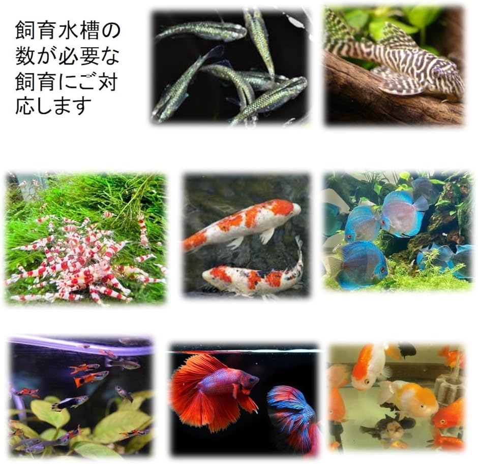 エアー 分配器 バルブ エアーチューブ エアーバルブ エアー分岐 水槽用 