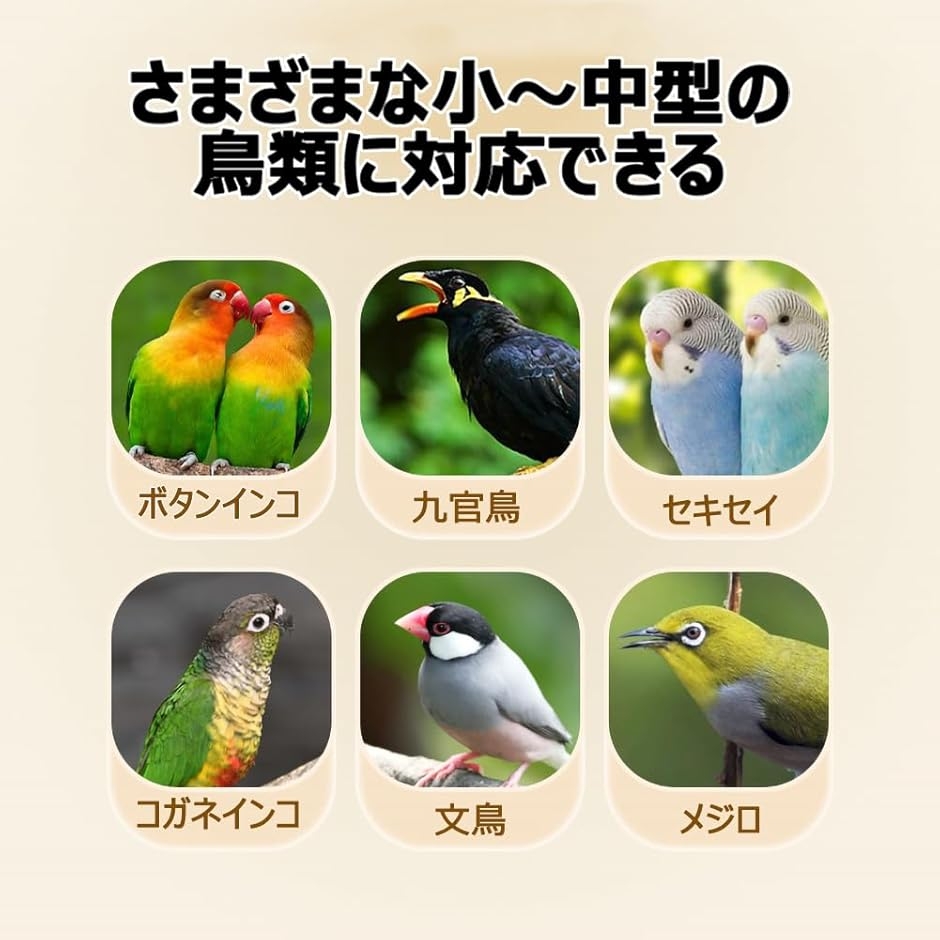 鳥かご 鳥ケージ バードケージ インコ ガラス 透明 33.8x36.3x61.5cm
