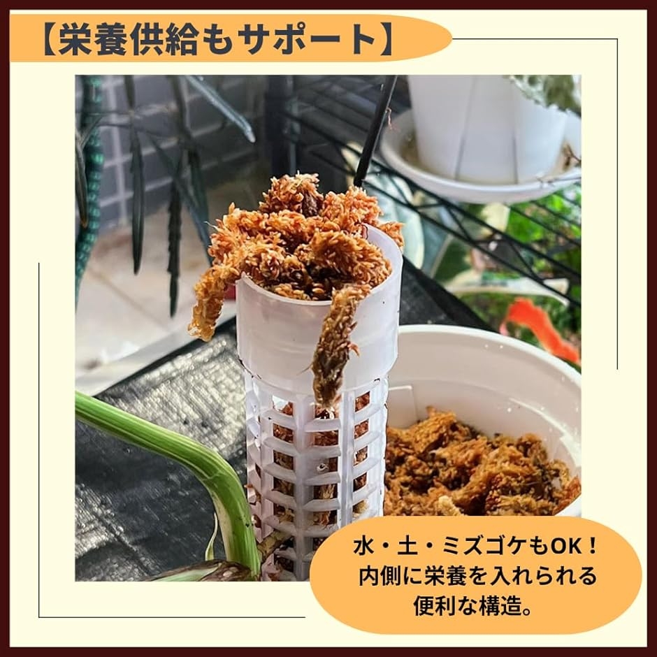 mari53 天然石 黒色 六角柱 ポイント 木製台座付き Amazon.co.jp: 水晶