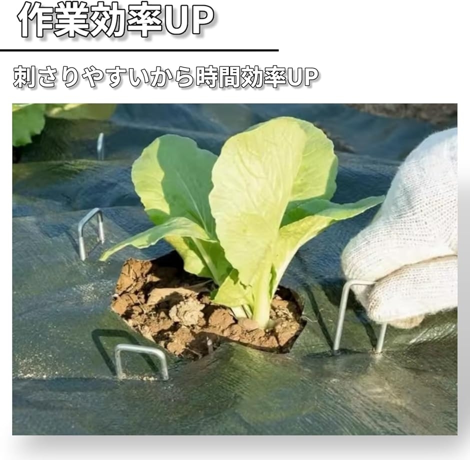 Uピン杭 U字釘 防草シート 固定 人工芝 押さえ U字型 ガーデニング