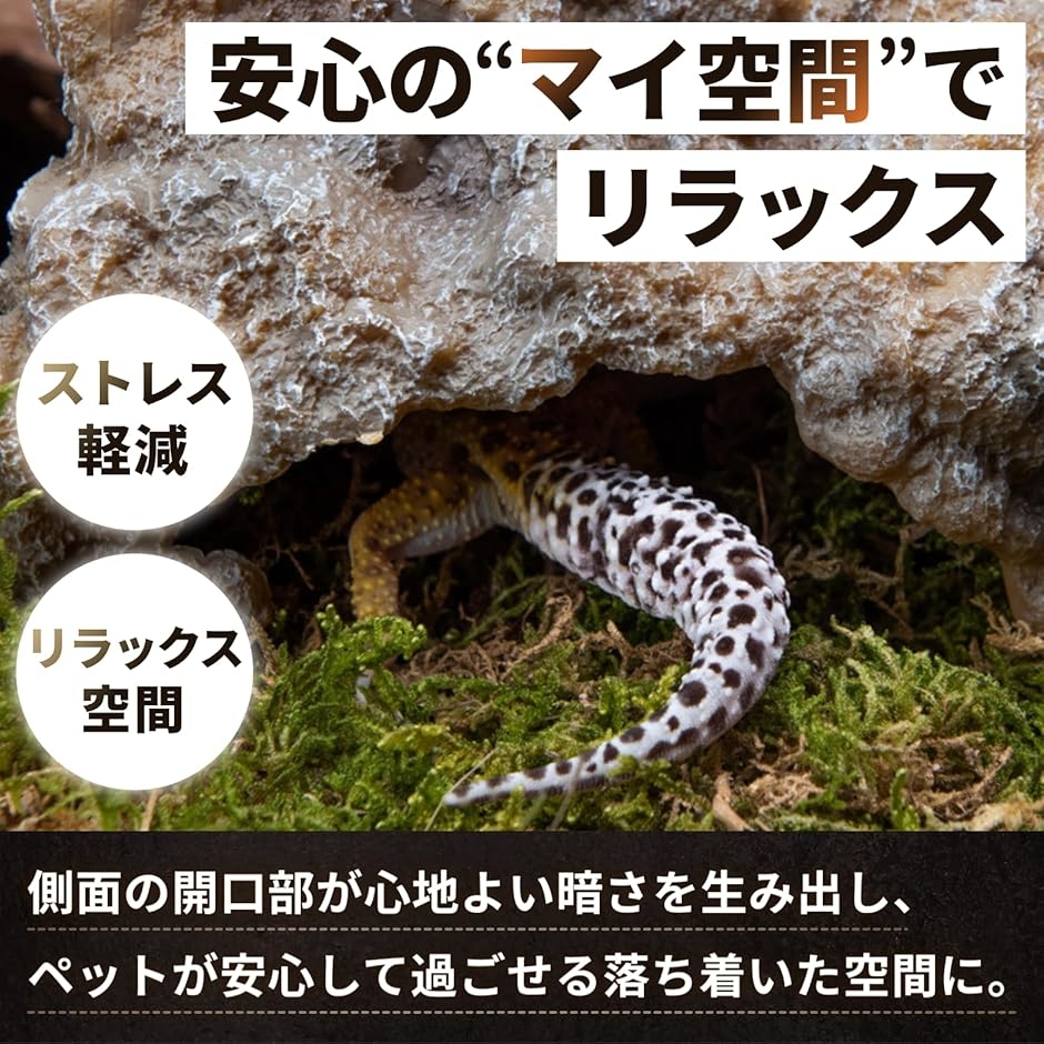 爬虫類 シェルター 隠れ家 亀 トカゲ ロックシェルター 両生類 (14x6