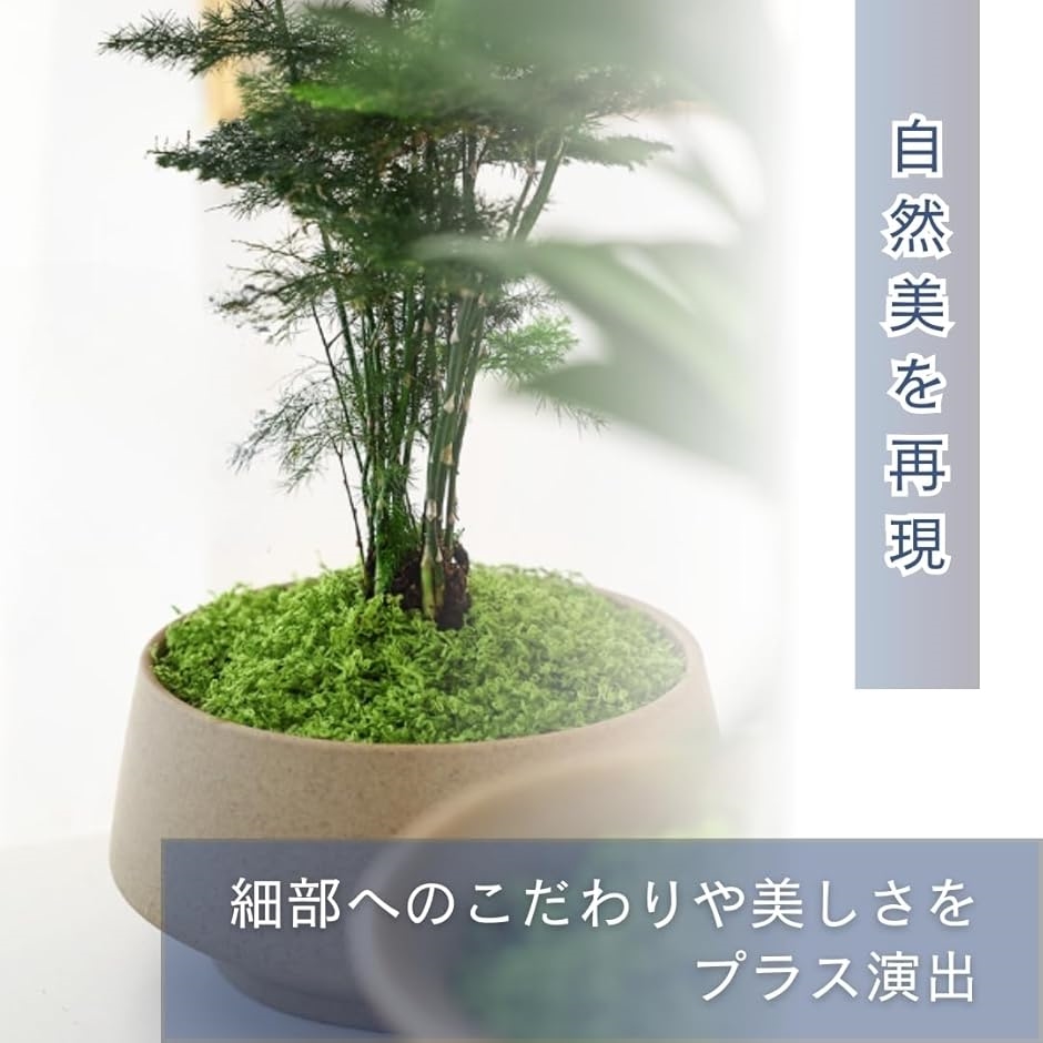 人工苔 100g 盆栽 苔玉 フェイク モス 箱庭 草 造花 壁面 装飾 模型