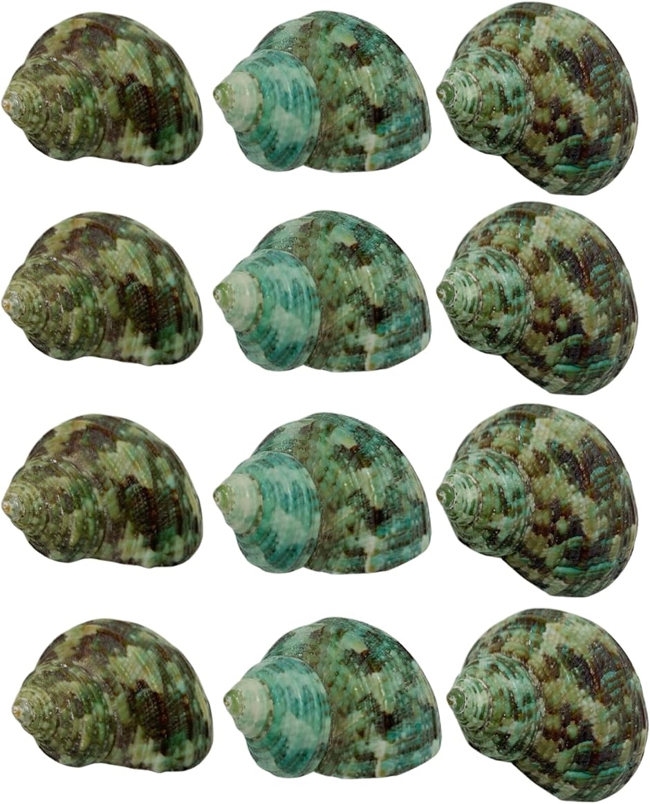 �̊L�k �����p ���h�J���̂����� �h�ւ��p �~�h���̊L�k 12��S37-0-T(�ΐF,  XXS�T�C�Y ���� 22-26mm)