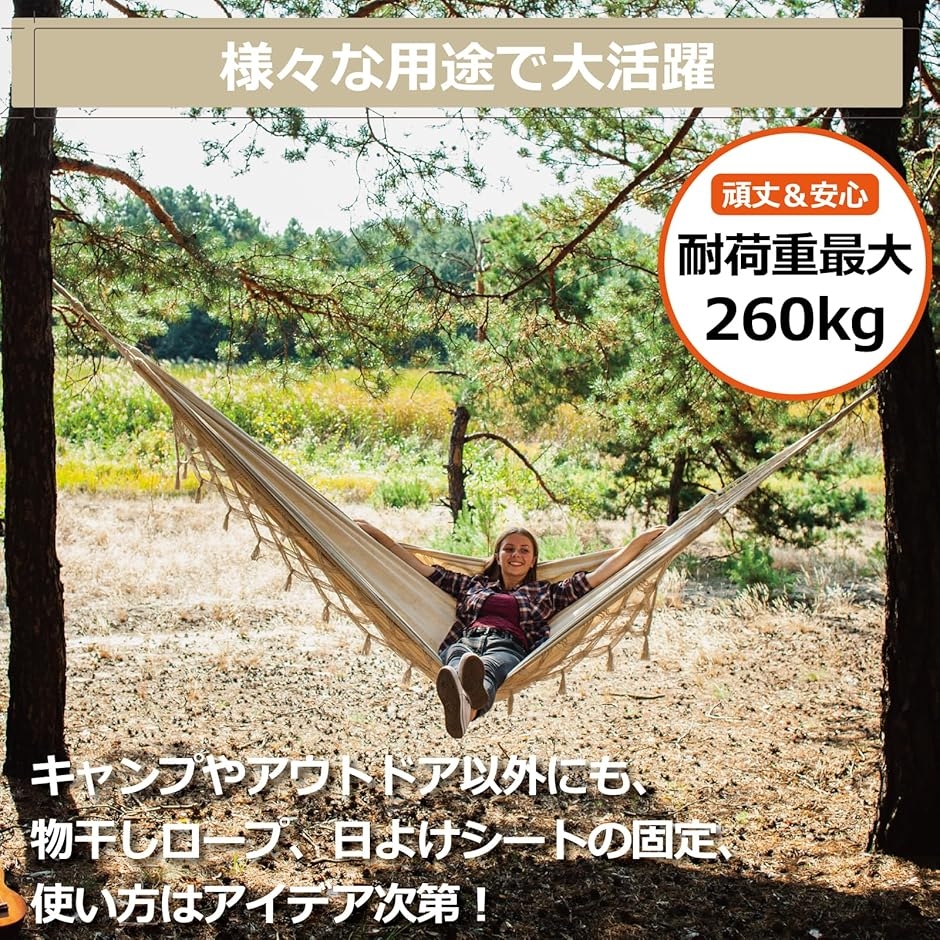 ガイロープ 自在金具 カラビナ付き 4本 テント タープ 設営 a839