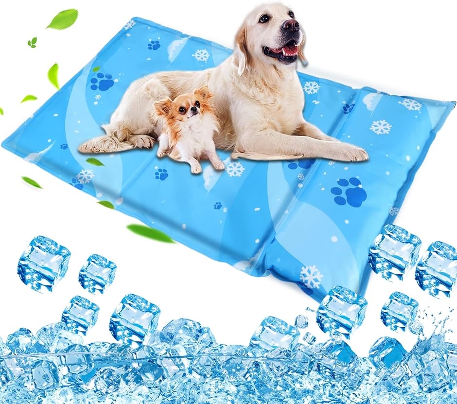 ybg Ђ}bg  L p}bg ybgp N[}bg  M M΍ h(t,  L(60x105cm))