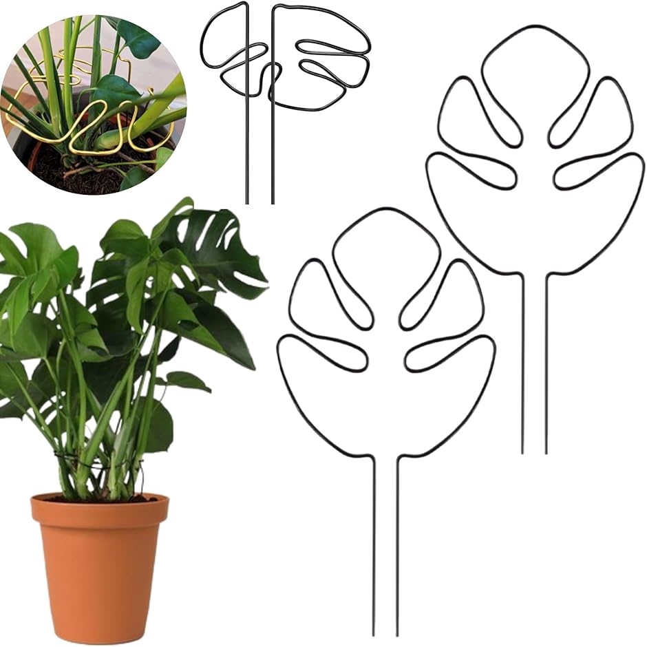 園芸支柱 モンステラ 観葉植物 植物サポート 植物倒れ防止