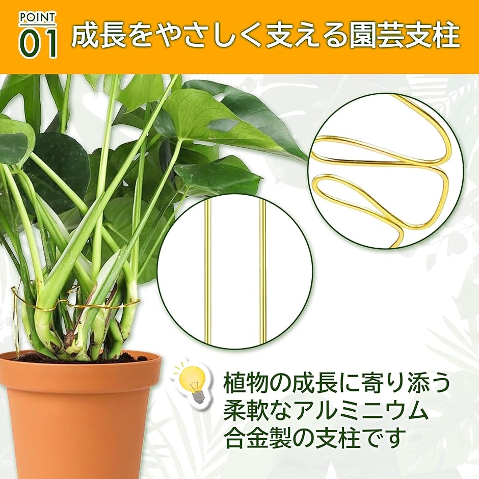 モンステラ　専用 Amazon | YSYLGL園芸支柱 園芸モンステラ 観葉植物専用スタンド