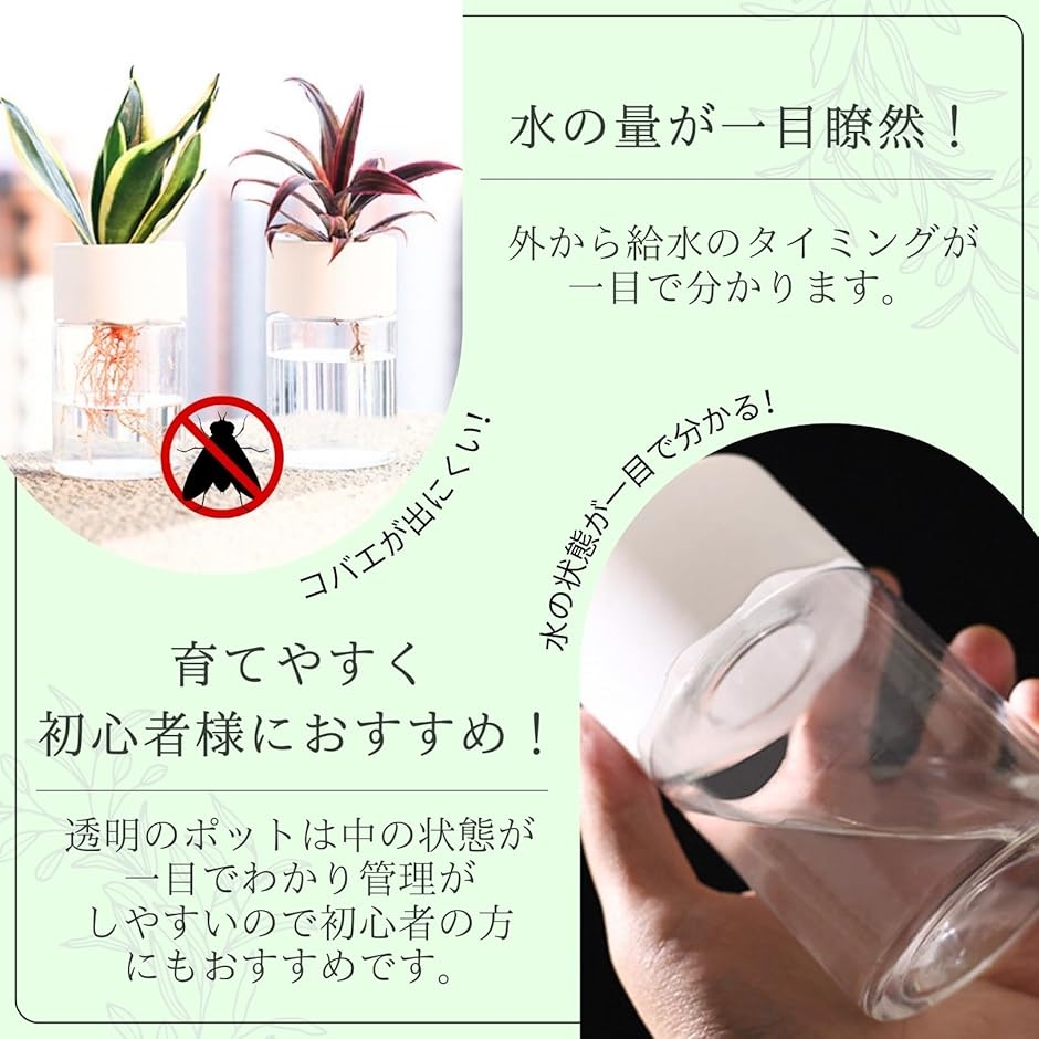 鉢物栽培技術マニュアル 楽天市場】水耕栽培キット 水耕栽培 キット 栽培セット
