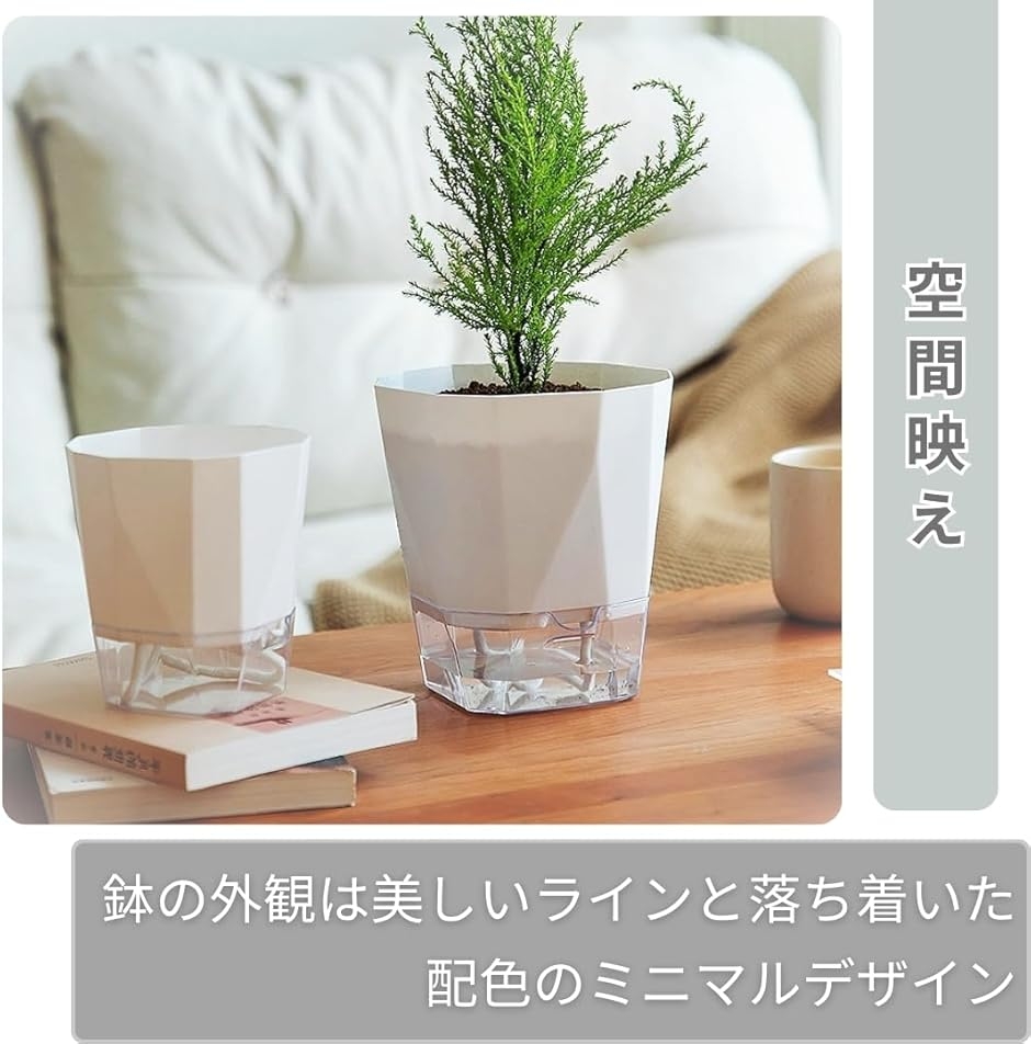 エバーフレッシュ♪ 水切れ安心•底面給水型プランター LECHUZAレチューザ』トレンドカバー23｜底面給水鉢