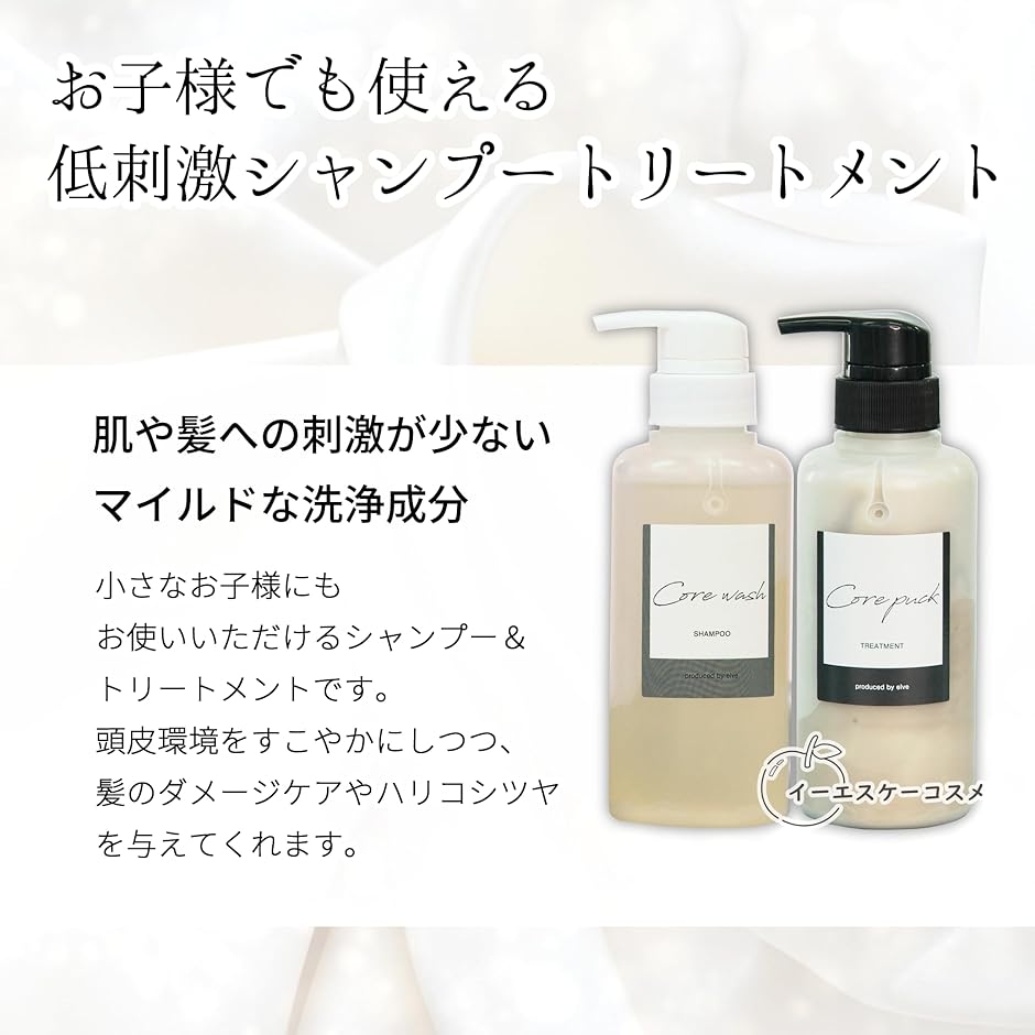 コアシャンプーコアパック セット シャンプートリートメント (オフ