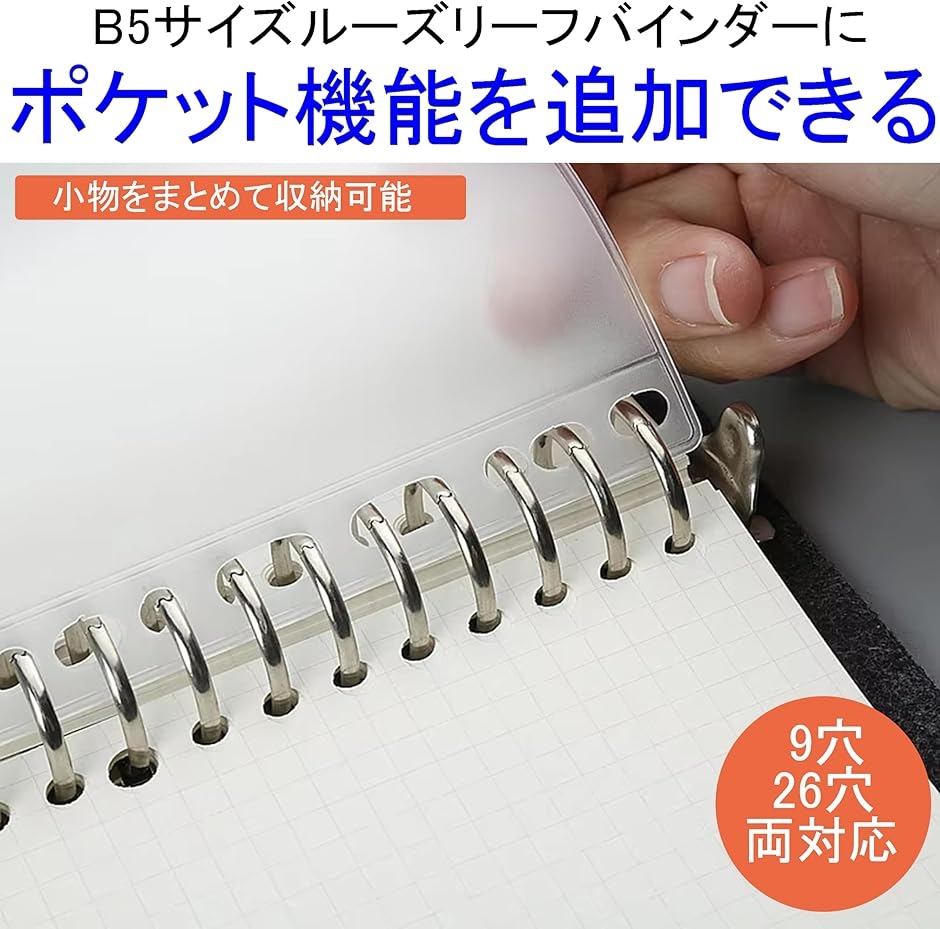 Xファイル　DVD1〜49/バインダー付 52mmシール 対応 B5 ファイル (120枚収納) バインダー＆ポケットシート