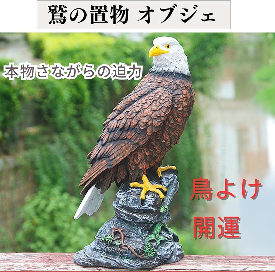 鷲 置物 防鳥 鳥よけ オブジェ 庭用 ミスターイーグル イーグル