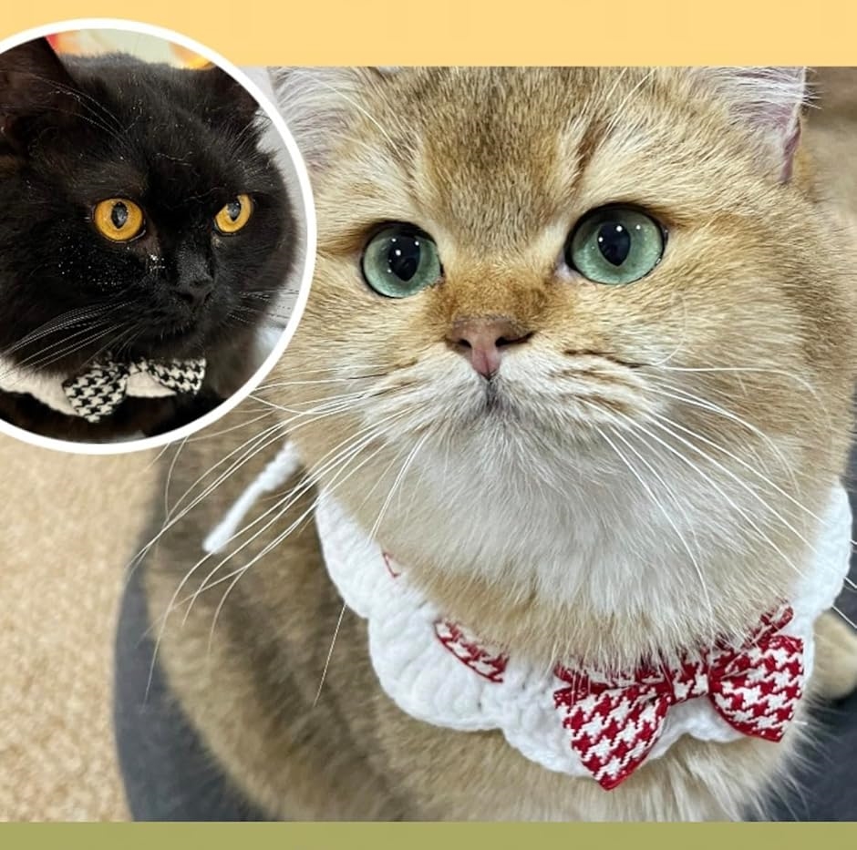 猫 2個セット 首輪 猫用 ペット バンダナ ビブ スカーフ 小型犬