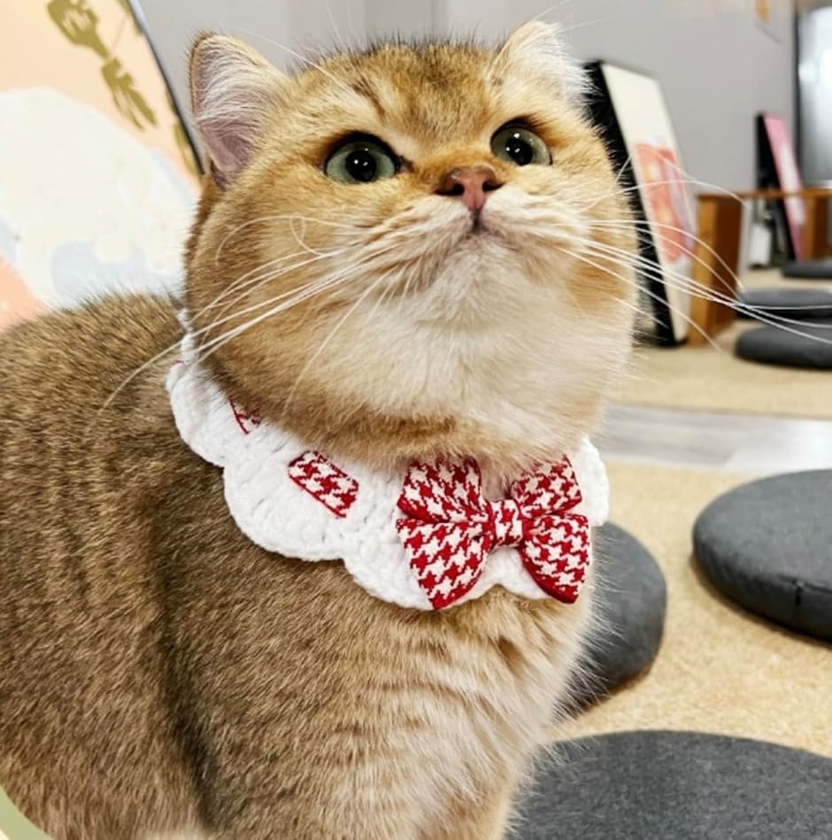 猫 2個セット 首輪 猫用 ペット バンダナ ビブ スカーフ 小型犬