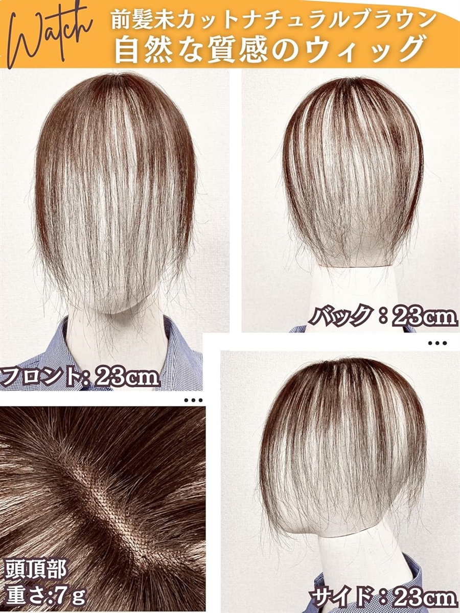 ピンなし ピンなし部分ウィッグ 頭頂部 白髪隠し ピン不要 リタッチ