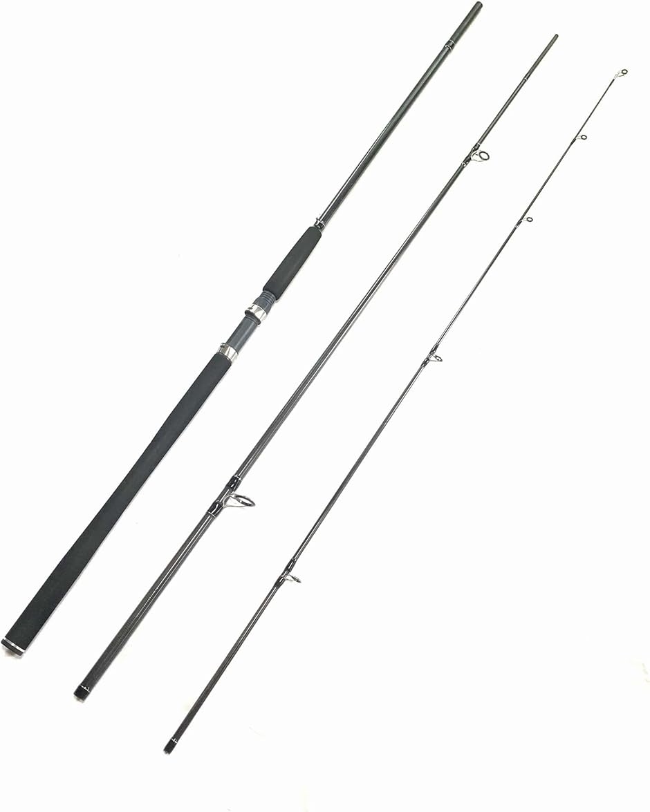 EVA 10フィート 3m スピニングロッド 3ピース 10ft シーバスロッド