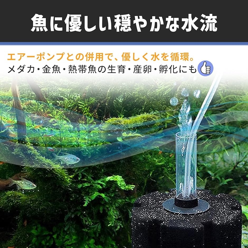 スポンジ フィルター 投げ込み式 XY 2835 外部 底面 水槽 ろか装置 