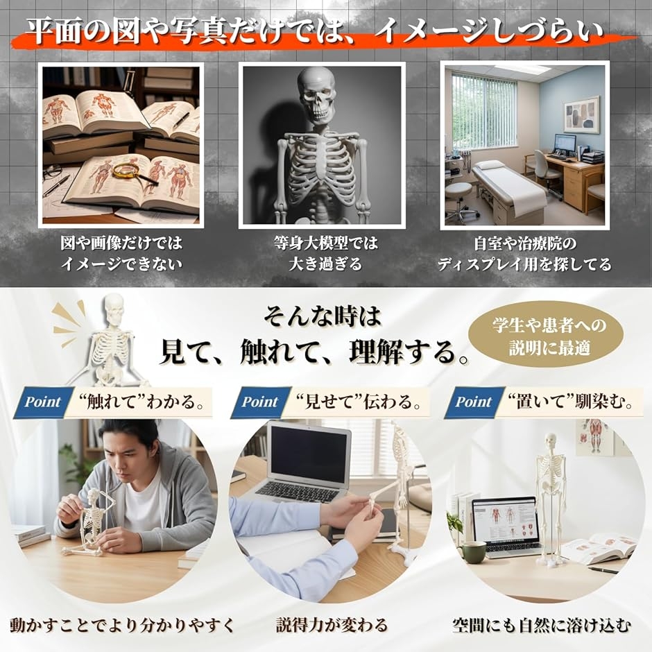 シンプルな1/4サイズの全身骨格模型 人体模型 ミニ 骨格標本 骨模型 シンプルな1/4サイズの全身骨格模型 人体模型 ミニ 骨格標本 骨模型