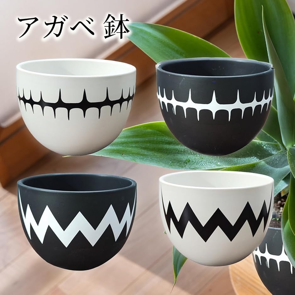アガベ　陶器鉢　セット アガベ 鉢 陶磁鉢 塊根 陶器 4号 植木鉢 盆栽鉢 陶器鉢 塊茎植木鉢