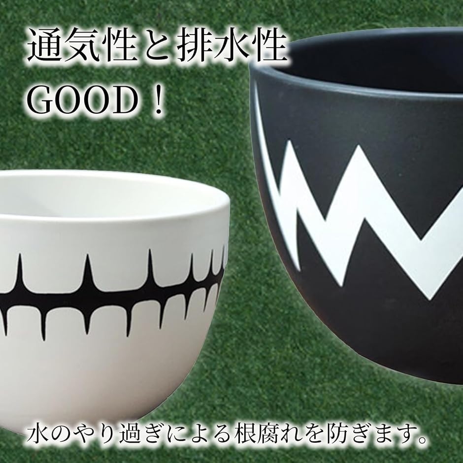 アガベ 鉢 陶磁鉢 塊根 陶器 4号 植木鉢 盆栽鉢 陶器鉢 塊茎植木鉢