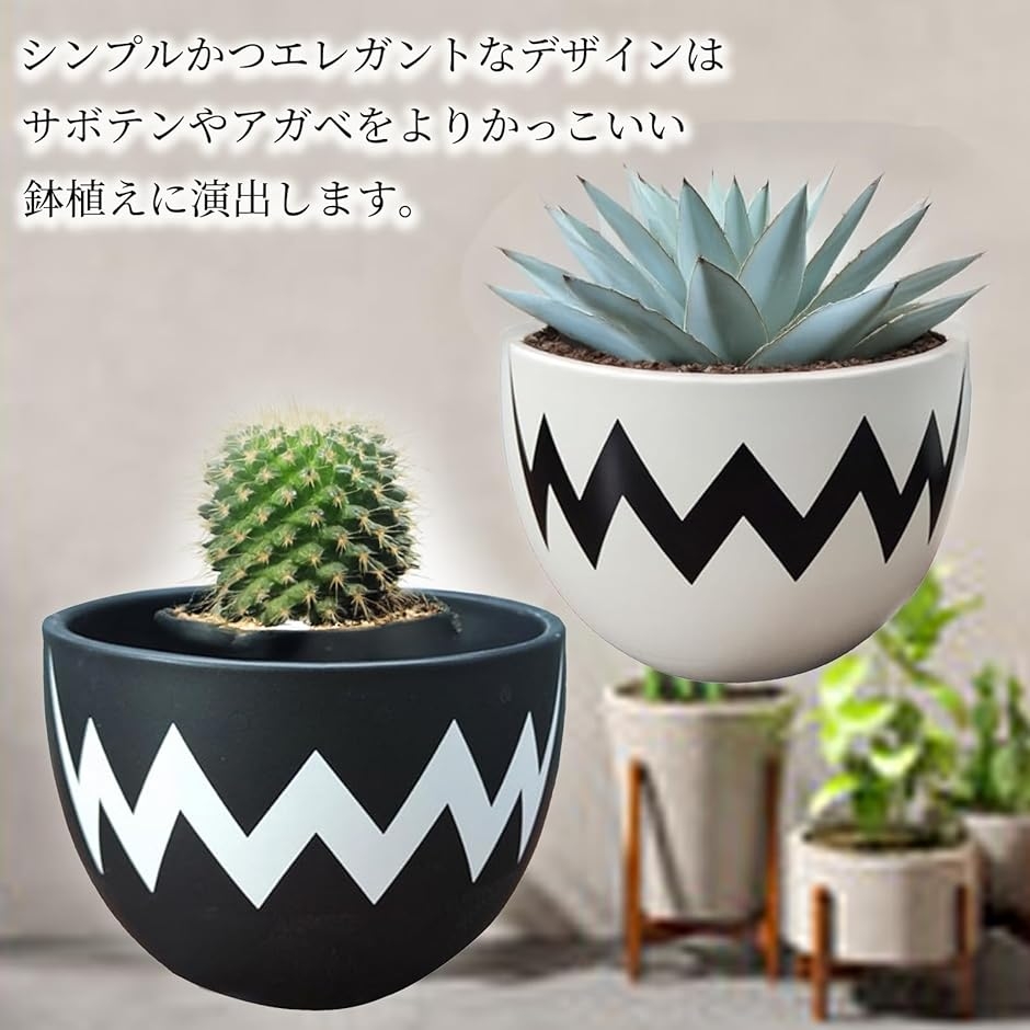 アガベ 鉢 陶磁鉢 塊根 陶器 4号 植木鉢 盆栽鉢 陶器鉢 塊茎植木鉢