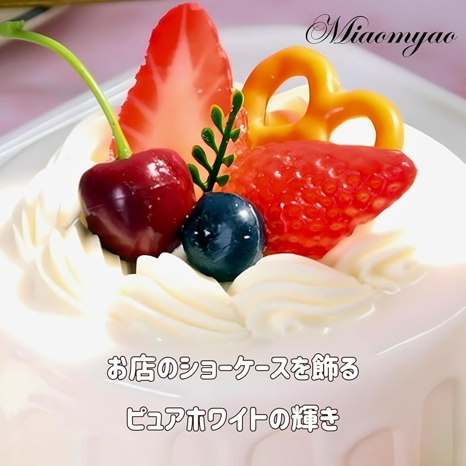 食品サンプル ダミーケーキ フェイクケーキ クレイケーキ ホールケーキ