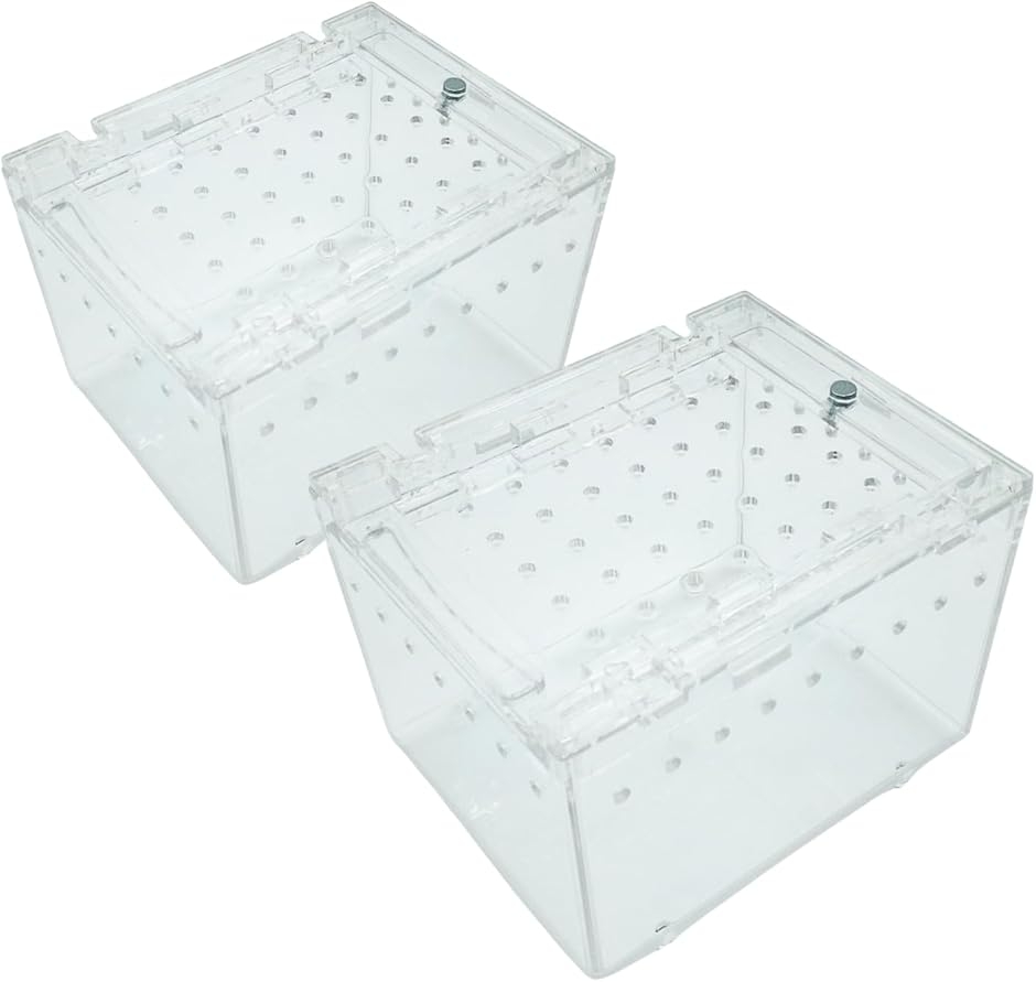 ঒��� �P�[�W �V�F���^�[ �A�N������ �g�J�Q �� �T�\�� ���� �{�b�N�X (10x8x7cm 2�Z�b�g)
