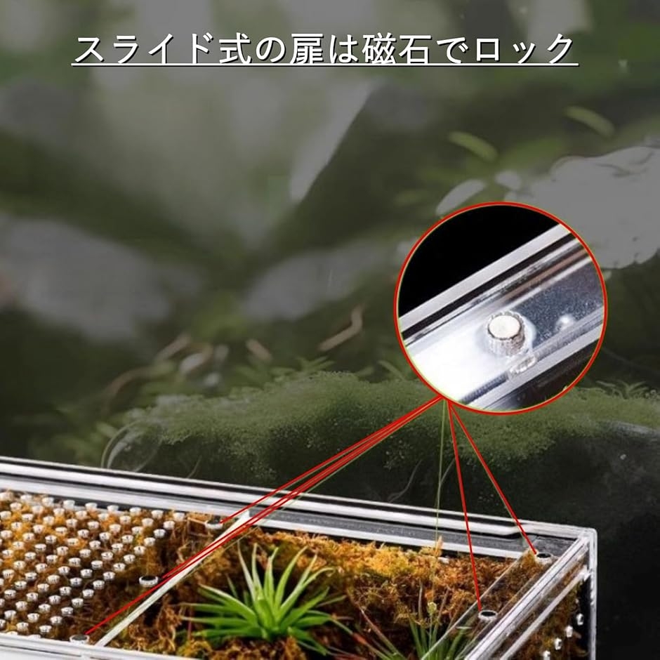 爬虫類 ケージ シェルター アクリル製 トカゲ...の詳細画像5
