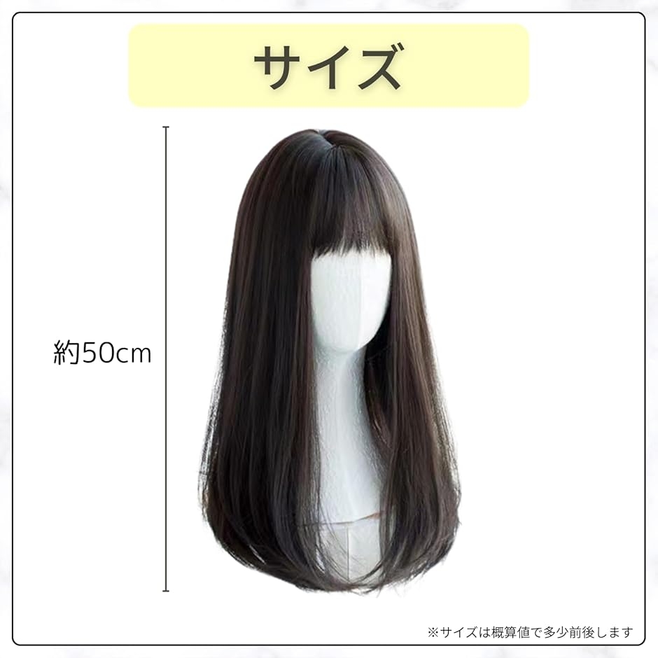 ウィッグ ロング 50cm 黒髪 かつら 女性 女装 コスプレ カツラ 黒髪