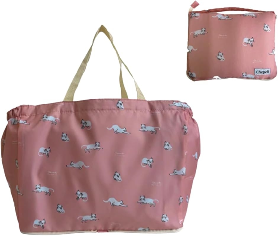 エコバッグ レジカゴ対応 保冷 巾着タイプ 大容量 コンパクト 軽量