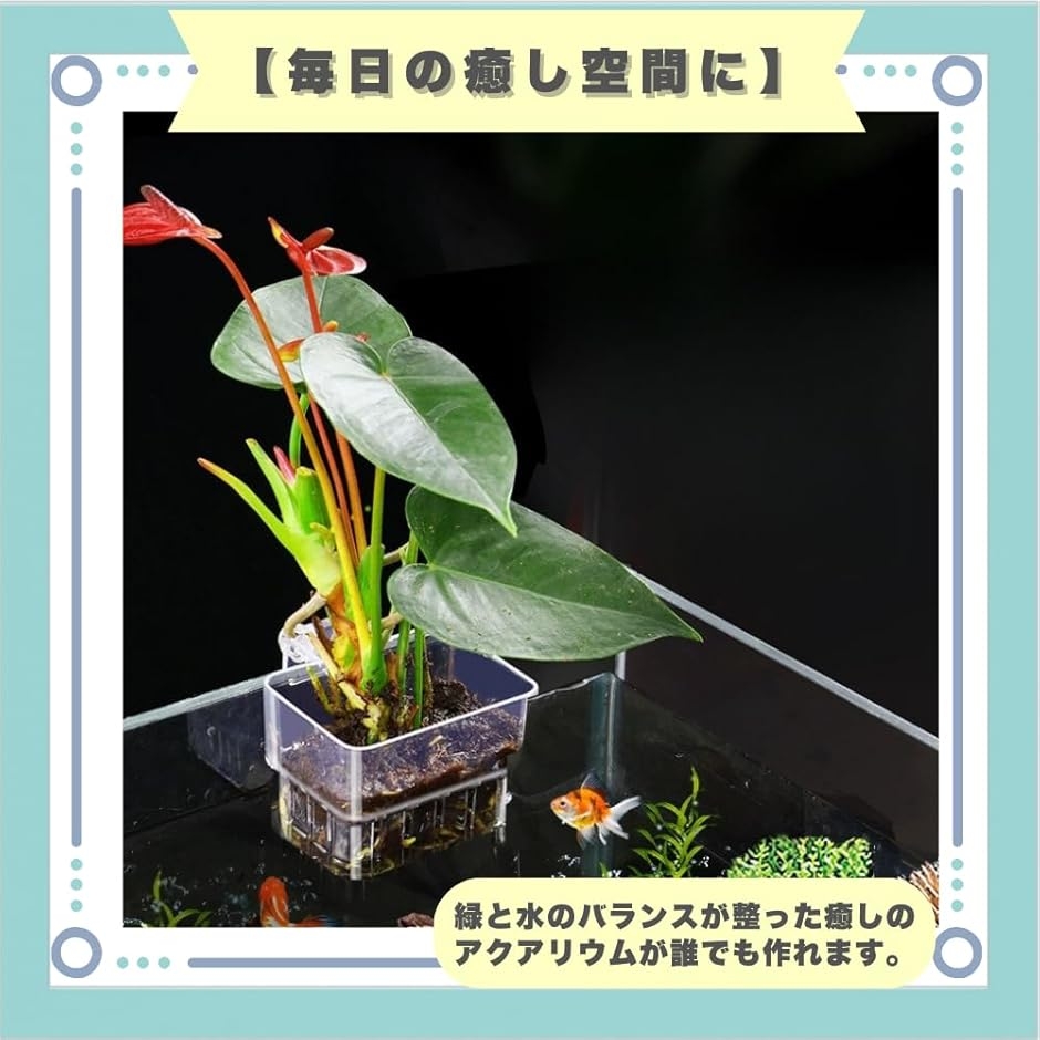 アクアポニックス 水耕栽培 ポット 水槽 容器 プランター 3個セット