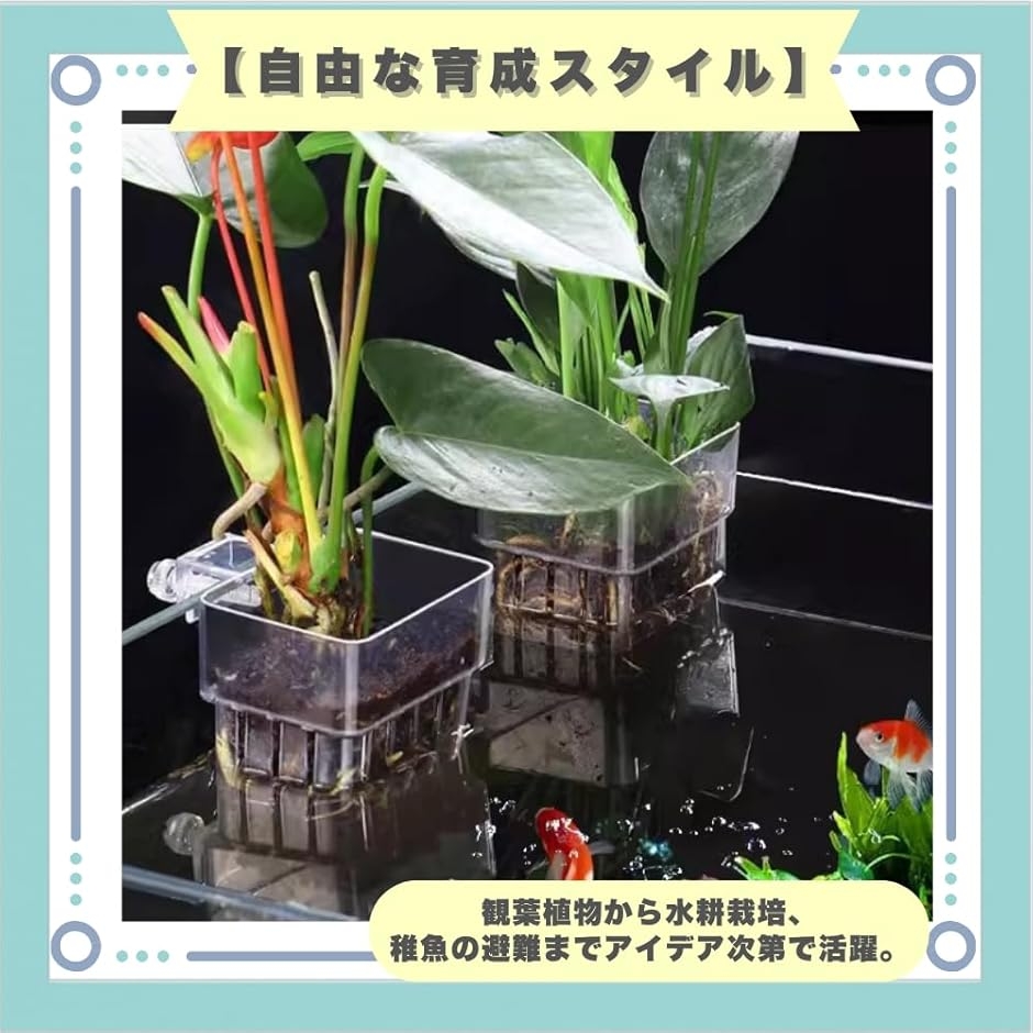 アクアポニックス 水耕栽培 ポット 水槽 容器 プランター 3個セット