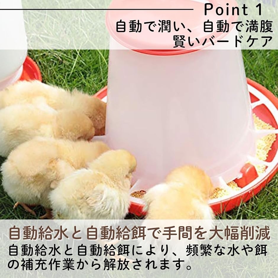 鳥 自動給餌器 自動給水器 えさやり器 水やり ひよこ 水入れ 餌入れ 2