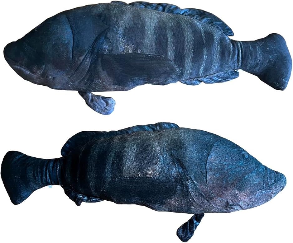 A C̐  BIG  ʂ  O NbV ӂӂ (n^,  S80cm)