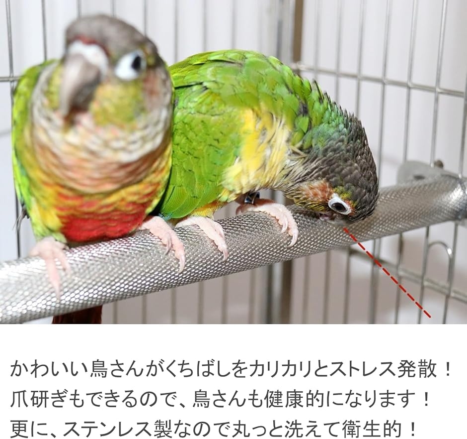 止まり木 モモンガ インコ 爪研ぎ ステップ ...の詳細画像3