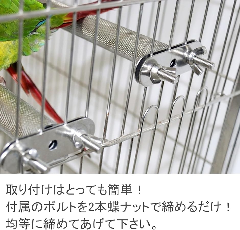 止まり木 モモンガ インコ 爪研ぎ ステップ ...の詳細画像4