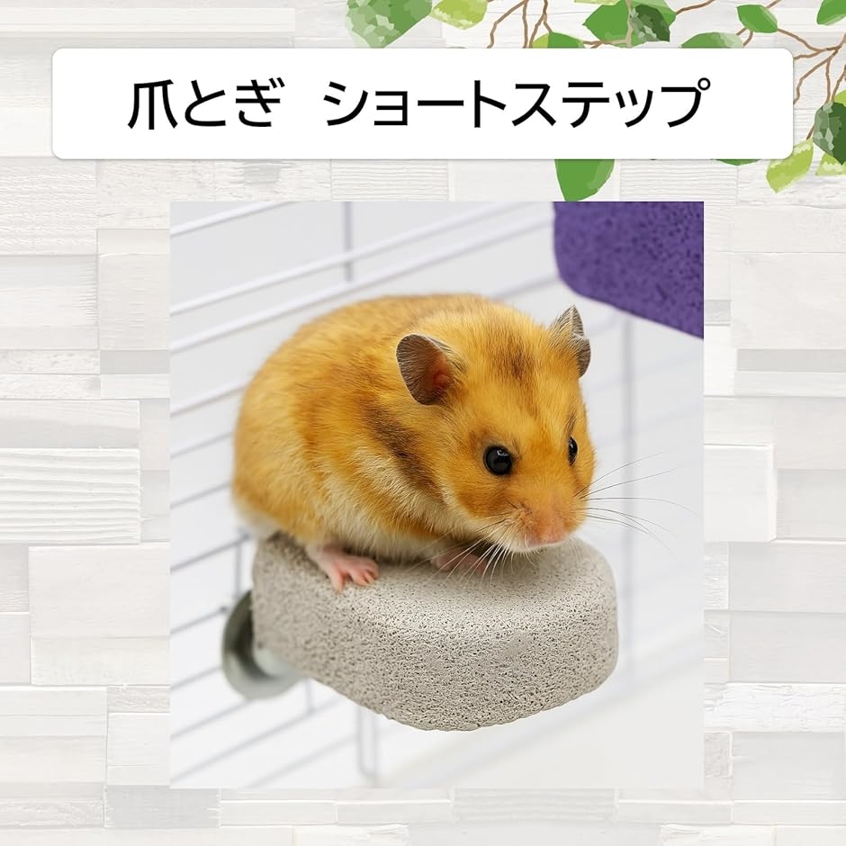 小動物・小鳥用 爪とぎステップ ハムスター 爪研ぎ モモンガ デグー