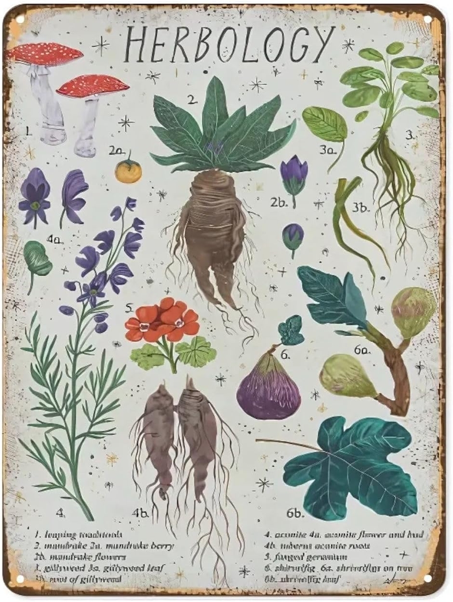 ブリキ看板 レトロサイン 科学ポスター風 (013-HERBOLOGY/ハーボロジー ハーブの研究, 長さ30 cm x 幅20 cm)