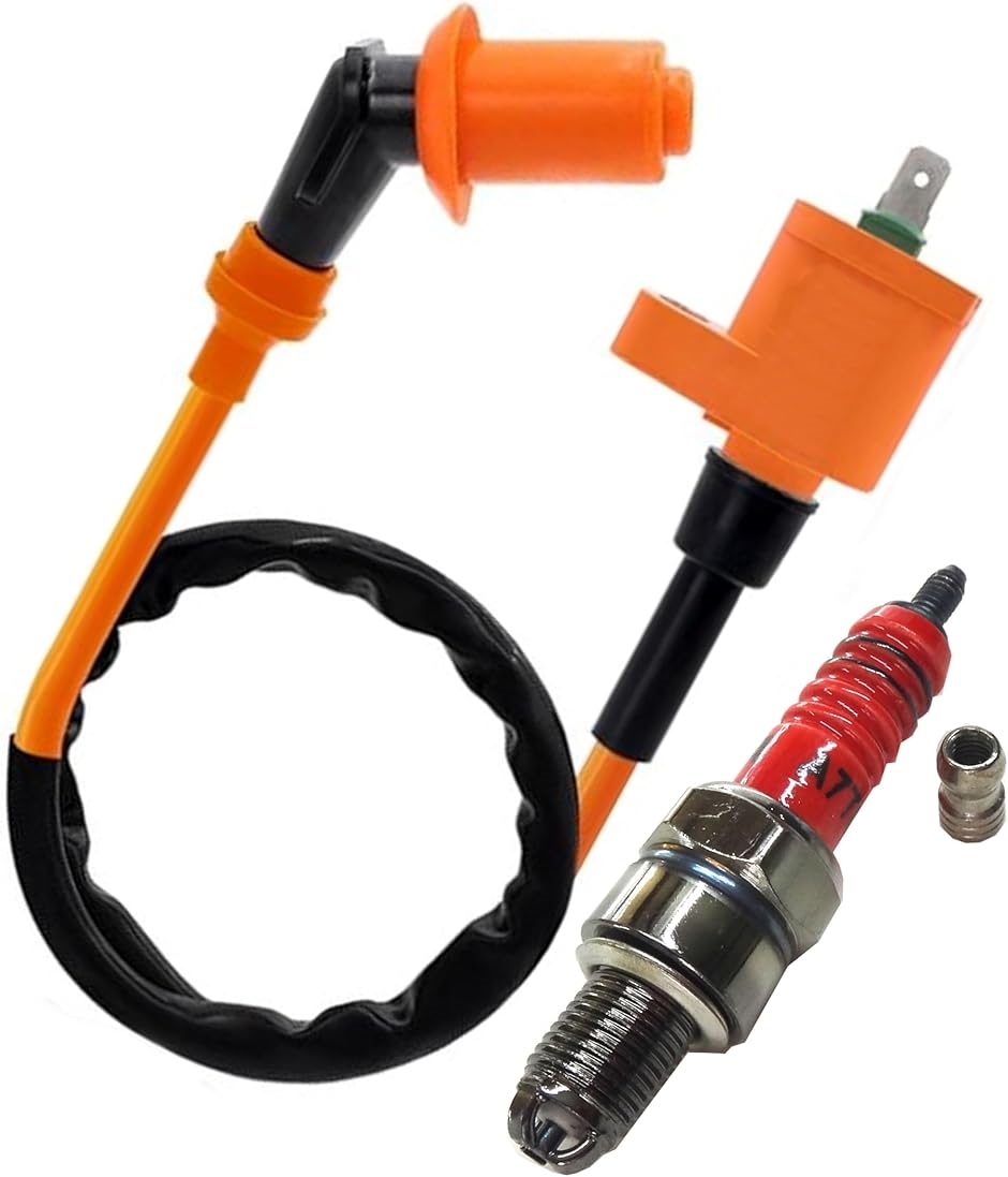 �y�݊��i�z ���� �C�O�j�b�V�����R�C�� �v���O�R�[�h �z���_ �����L�[ �S���� �}�O�i50 �g�D�f�C �J�u ���g���J�u(�u���b�N)